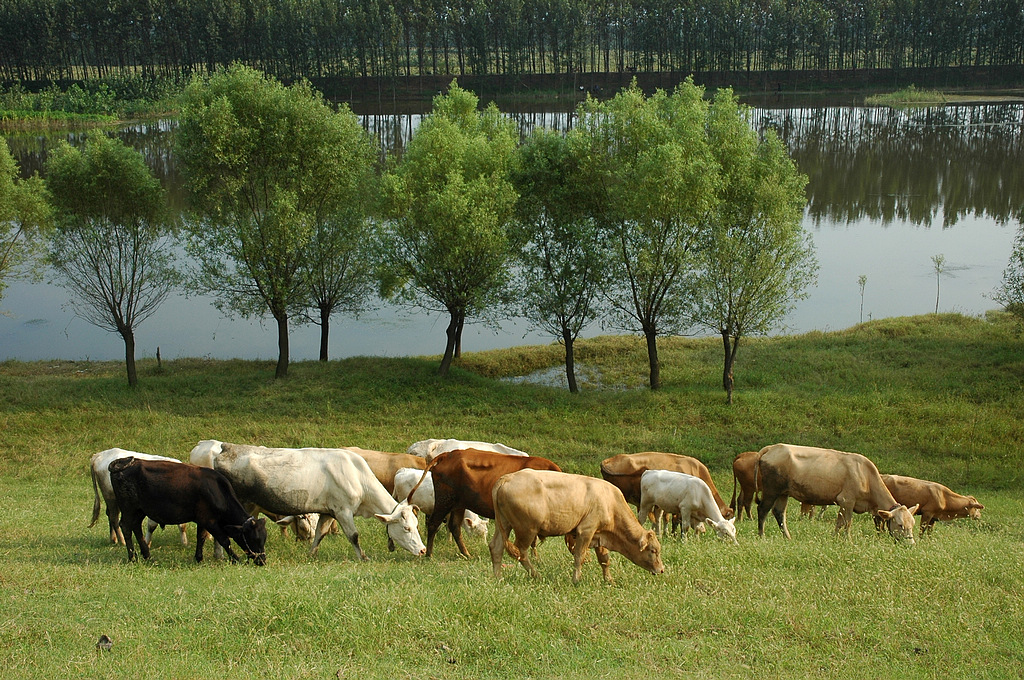 �����С�-���� (4)