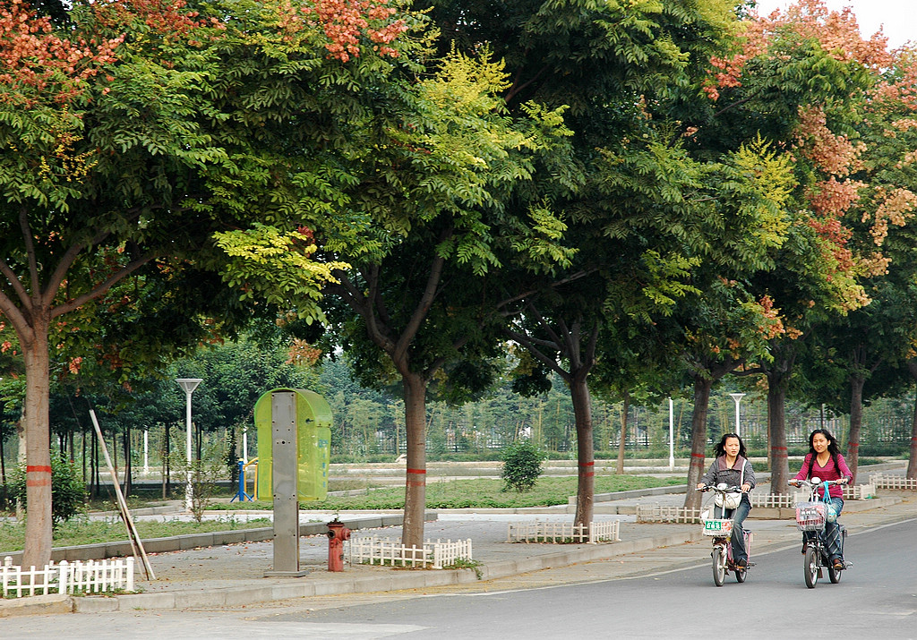 �����С�-���� (5)