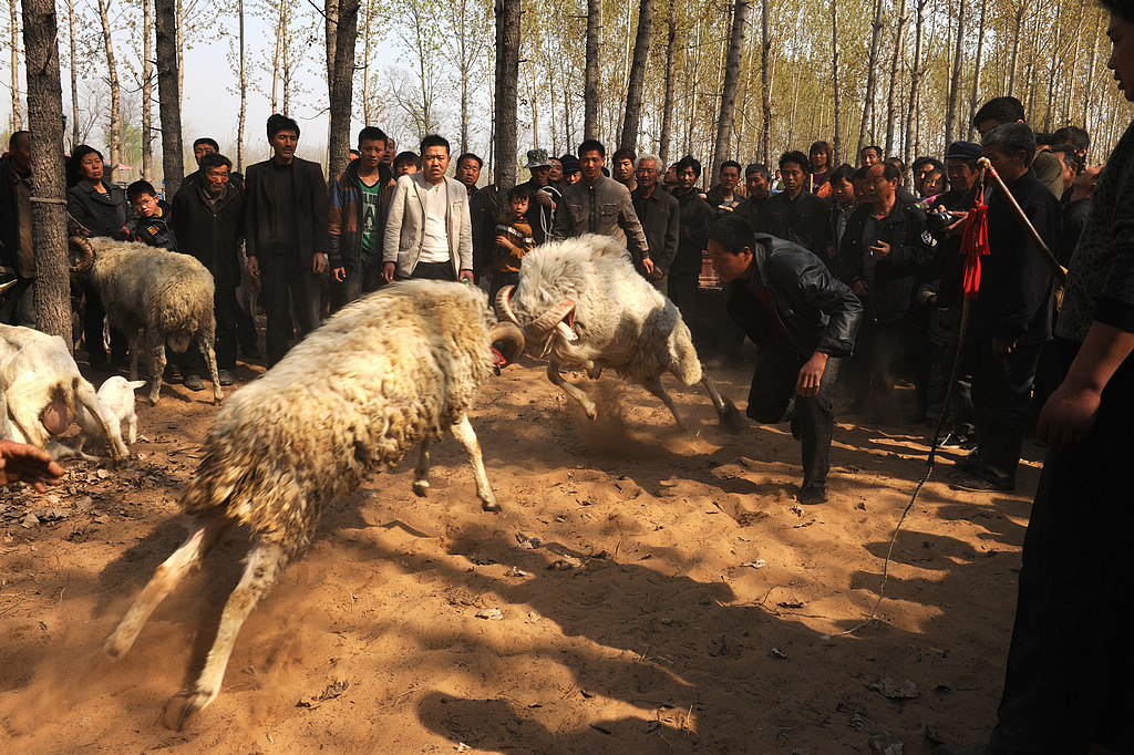 �����͡�-���� (1)