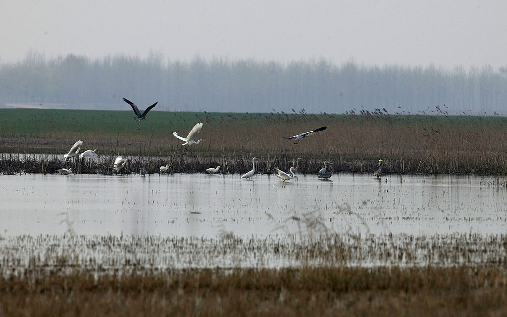 �����͡�-���� (2)