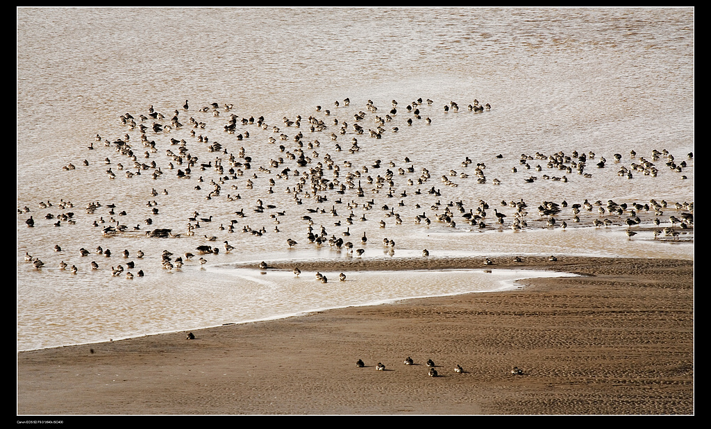 �Ա�Ԫ----��  (10)