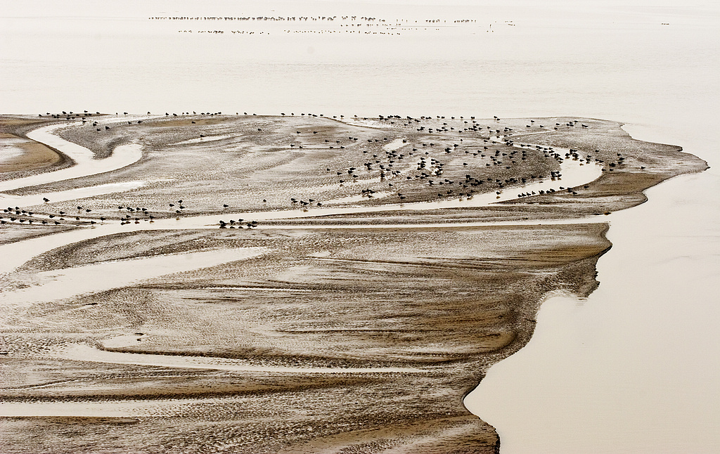 �Ա�Ԫ----��  (12)