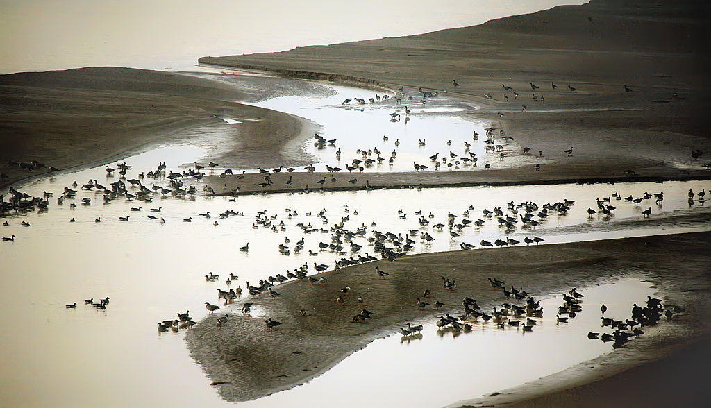 �Ա�Ԫ----��  (13)