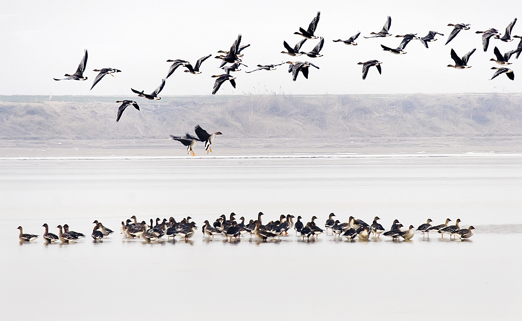 �Ա�Ԫ----��  (14)