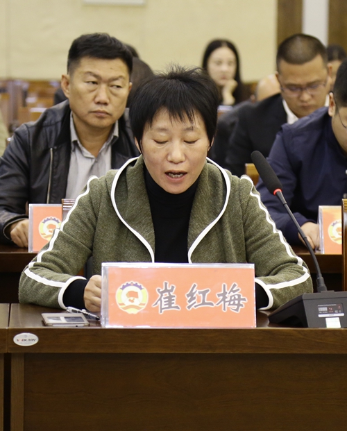 崔红梅委员发言
